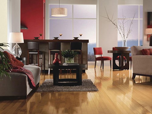 Carpet vs hardwood living room