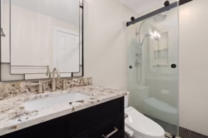 Northern Colorado Bathroom Remodel hall bath
